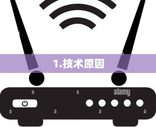 1.技术原因