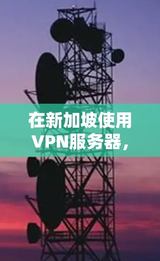 在新加坡使用VPN服务器，需要遵循新加坡的网络安全法律和政策，确保数据安全和网络稳定。以下是一步步的解决方案