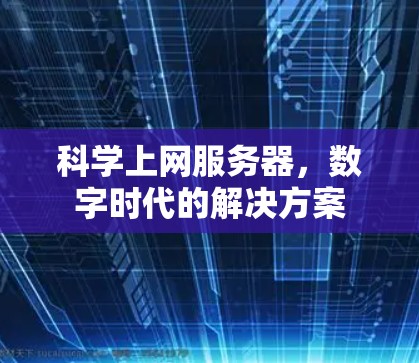 科学上网服务器，数字时代的解决方案