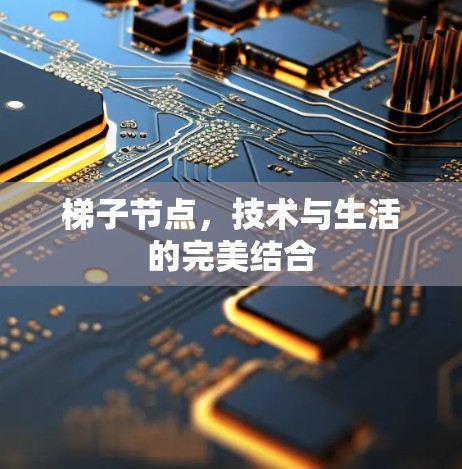 梯子节点，技术与生活的完美结合