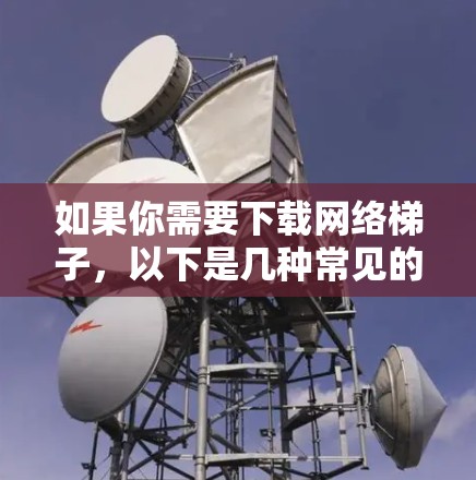 如果你需要下载网络梯子,以下是几种常见的方法 如果你需要下载网络梯子,以下是几种常见的方法