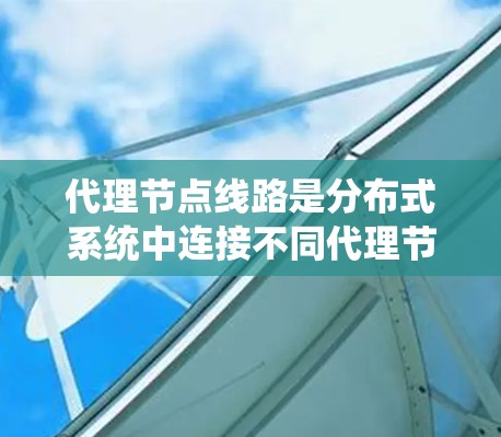 代理节点线路是分布式系统中连接不同代理节点的网络结构，确保它们之间的通信和数据共享。以下是对代理节点线路的详细分析