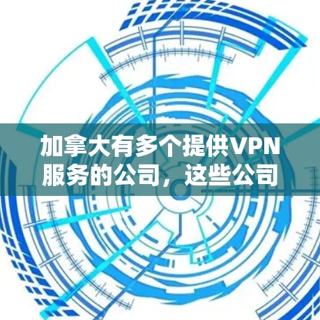 加拿大有多个提供VPN服务的公司，这些公司通常会根据地理位置和用户需求来提供服务。以下是一些加拿大提供VPN服务的公司和公司名称