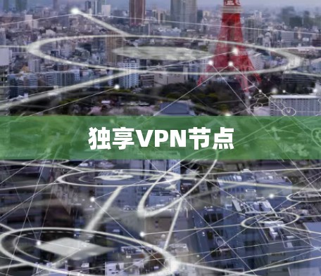 独享VPN节点 独享VPN节点