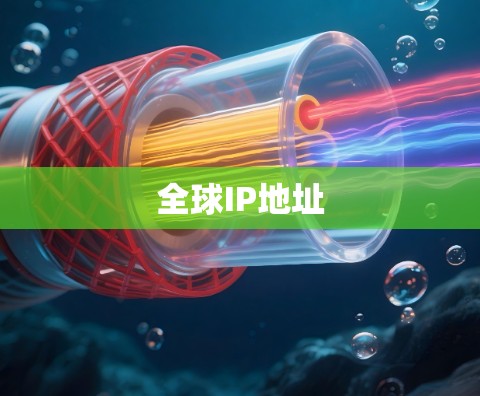 全球IP地址