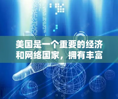 美国是一个重要的经济和网络国家，拥有丰富的网络服务和基础设施。美国的网络服务主要集中在以下几个方面