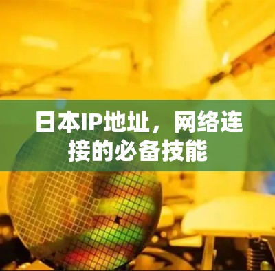 日本IP地址，网络连接的必备技能