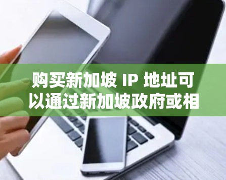 购买新加坡 IP 地址可以通过新加坡政府或相关网站进行。以下是一些步骤和信息,帮助您更好地进行购买 购买新加坡 IP 地址可以通过新加坡政府或相关网站进行。以下是一些步骤和信息,帮助您更好地进行购买