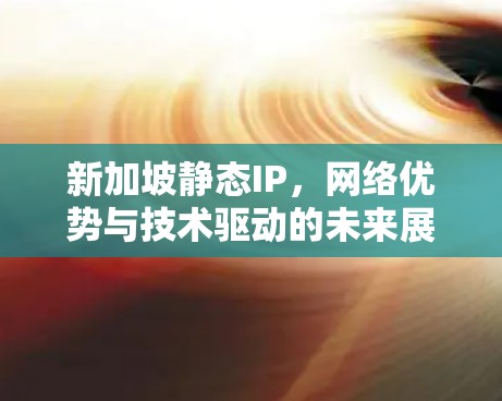 新加坡静态IP，网络优势与技术驱动的未来展望