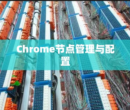 Chrome节点管理与配置 Chrome节点管理与配置