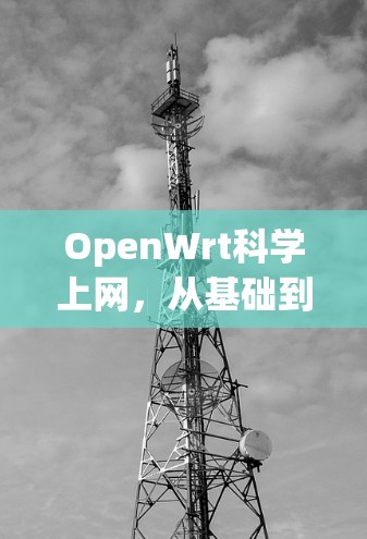 OpenWrt科学上网，从基础到实践的网络探索