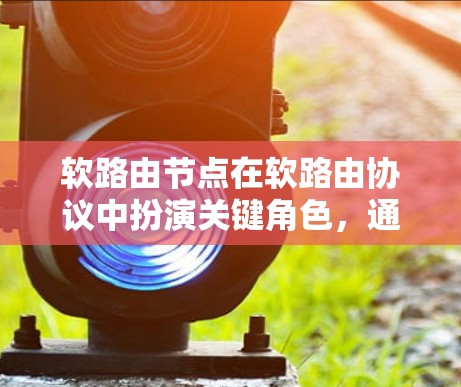 软路由节点在软路由协议中扮演关键角色，通过处理冲突和不一致的数据，提供平滑的网络连接，确保数据在传输过程中的可靠性。以下是对软路由节点的详细总结