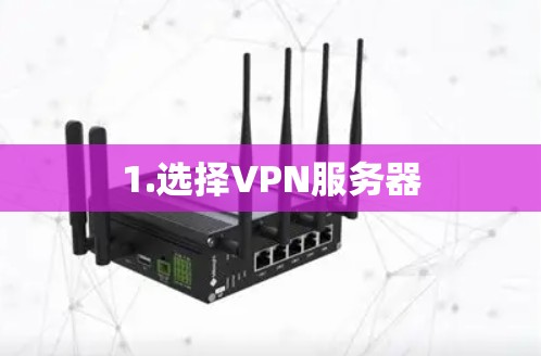 1.选择VPN服务器