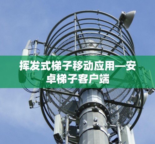 挥发式梯子移动应用—安卓梯子客户端
