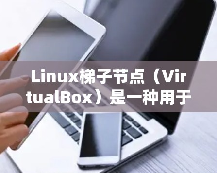 Linux梯子节点(VirtualBox)是一种用于部署大型Linux系统的企业级虚拟化设备。以下是一些关于Linux梯子节点的详细信息 Linux梯子节点(VirtualBox)是一种用于部署大型Linux系统的企业级虚拟化设备。以下是一些关于Linux梯子节点的详细信息