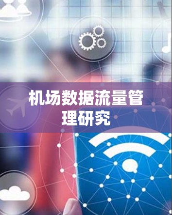 机场数据流量管理研究