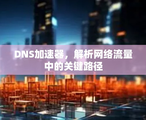 DNS加速器，解析网络流量中的关键路径