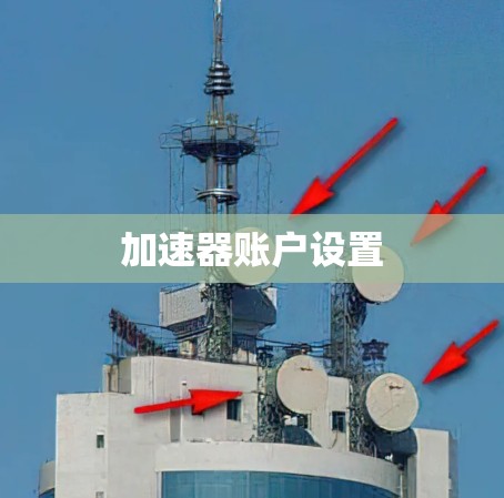 加速器账户设置