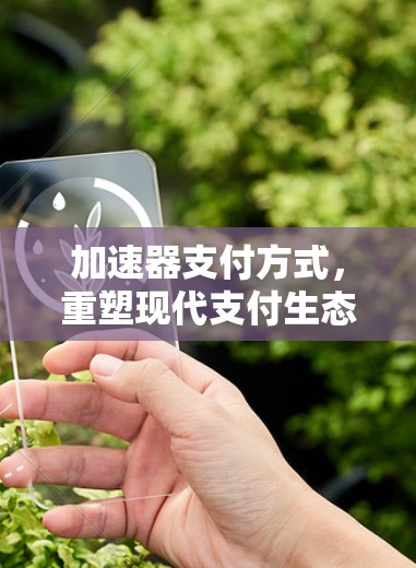 加速器支付方式，重塑现代支付生态