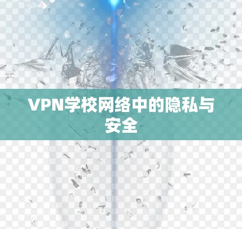 VPN学校网络中的隐私与安全