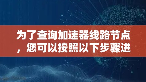 为了查询加速器线路节点，您可以按照以下步骤进行操作