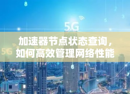 加速器节点状态查询，如何高效管理网络性能