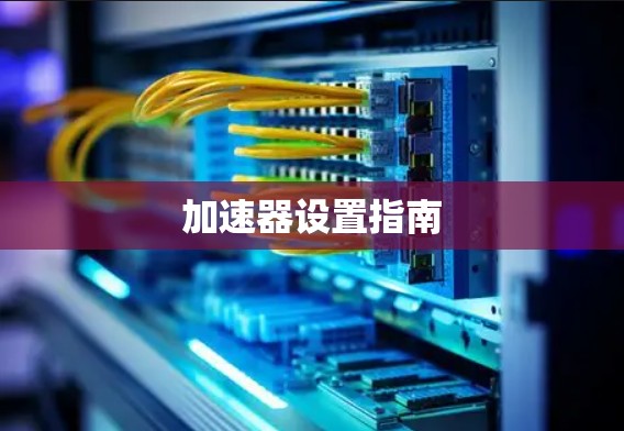 加速器设置指南