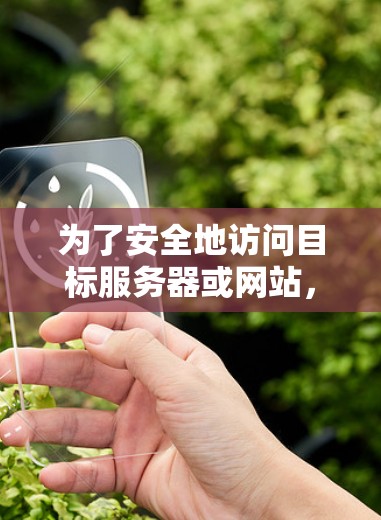 为了安全地访问目标服务器或网站，以下是一个逐步指南