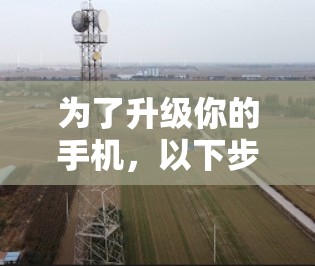 为了升级你的手机，以下步骤是按照建议进行的，确保您能够顺利完成加速和优化
