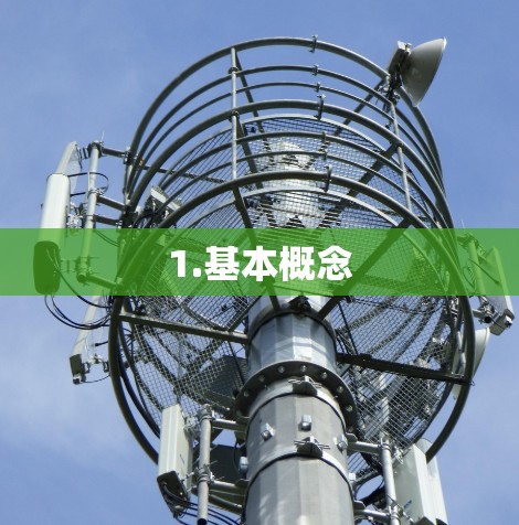 1.基本概念