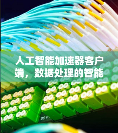 人工智能加速器客户端，数据处理的智能化解决方案