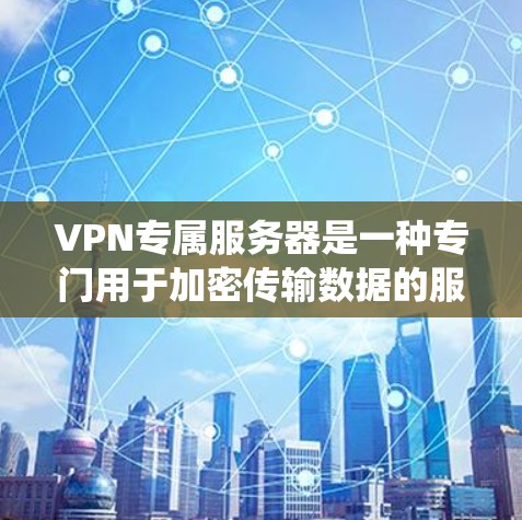 VPN专属服务器是一种专门用于加密传输数据的服务器，通常与传统的VPN服务有所不同，可能具有额外的功能或限制。以下是一些可能的 VPN 专属服务器特征和使用建议
