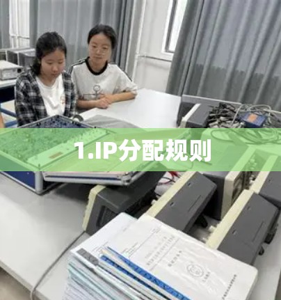 1.IP分配规则