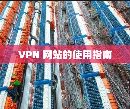 VPN 网站的使用指南 VPN 网站的使用指南