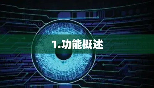 1.功能概述 1.功能概述