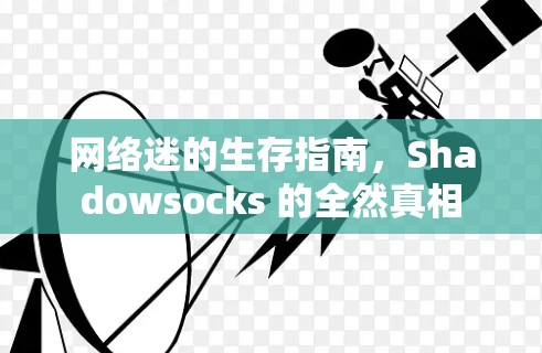 网络迷的生存指南，Shadowsocks 的全然真相