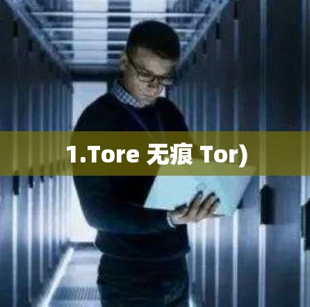 1.Tore 无痕 Tor) 1.Tore 无痕 Tor)