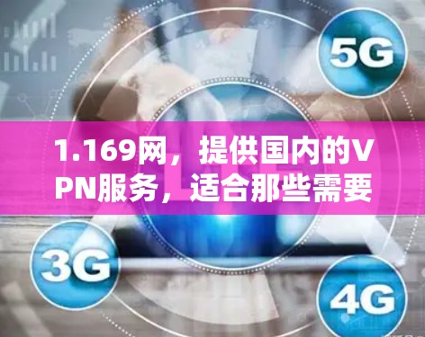 1.169网，提供国内的VPN服务，适合那些需要在海外使用国内流量的用户