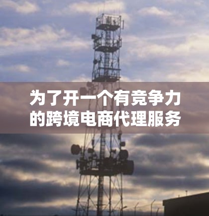 为了开一个有竞争力的跨境电商代理服务，可以按照以下步骤进行规划和实施