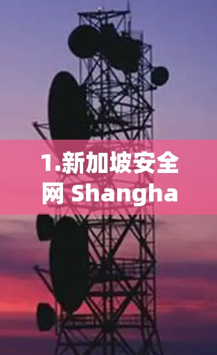 1.新加坡安全网 Shanghai Cloud Security) 1.新加坡安全网 Shanghai Cloud Security)