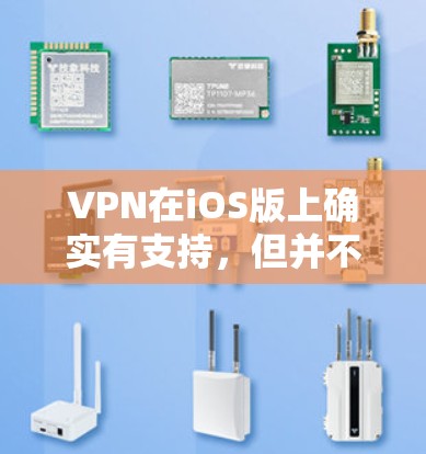 VPN在iOS版上确实有支持，但并不是所有VPN都是完全安全的，因此在下载和使用过程中需要小心，确保下载自已的安全
