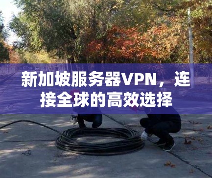 新加坡服务器VPN，连接全球的高效选择