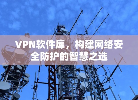 VPN软件库，构建网络安全防护的智慧之选