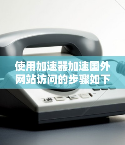 使用加速器加速国外网站访问的步骤如下