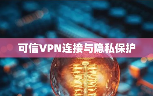 可信VPN连接与隐私保护