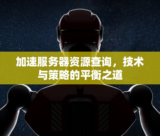 加速服务器资源查询，技术与策略的平衡之道
