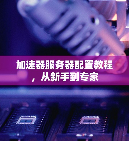 加速器服务器配置教程，从新手到专家