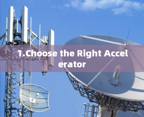 1.Choose the Right Accelerator